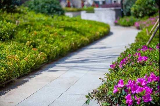 博观新城 | 实景曝光秘密花园，开启每一处美好生活