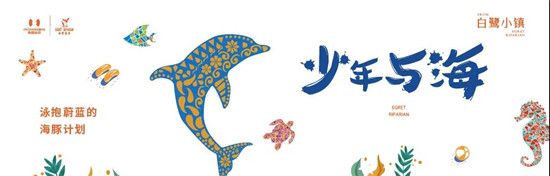 少年与海｜泳抱蔚蓝的海豚计划（文末福利）