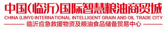 中国（临沂）国际智慧粮油商贸城举行工地开放日活动